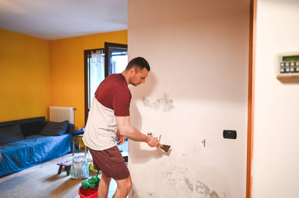 Best Mold Removal Company Near Me  in Roanoke, IN